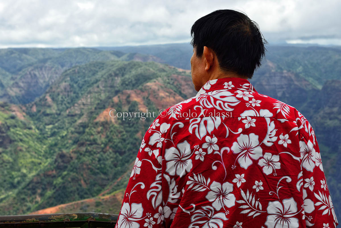 Hawaii - Kauai - Waimea Canyon, hawaiian shirt