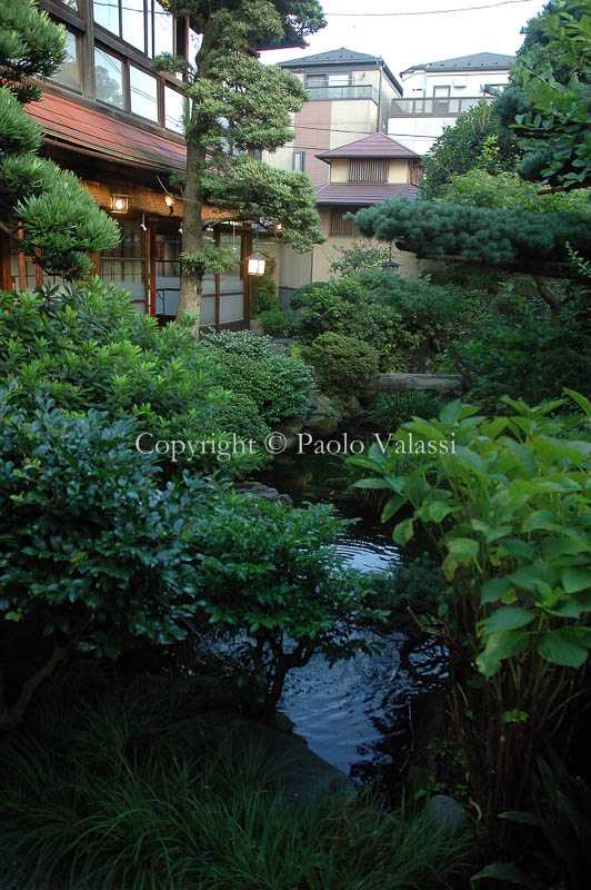 Japan - Ryokan - Traditional inn - The garden