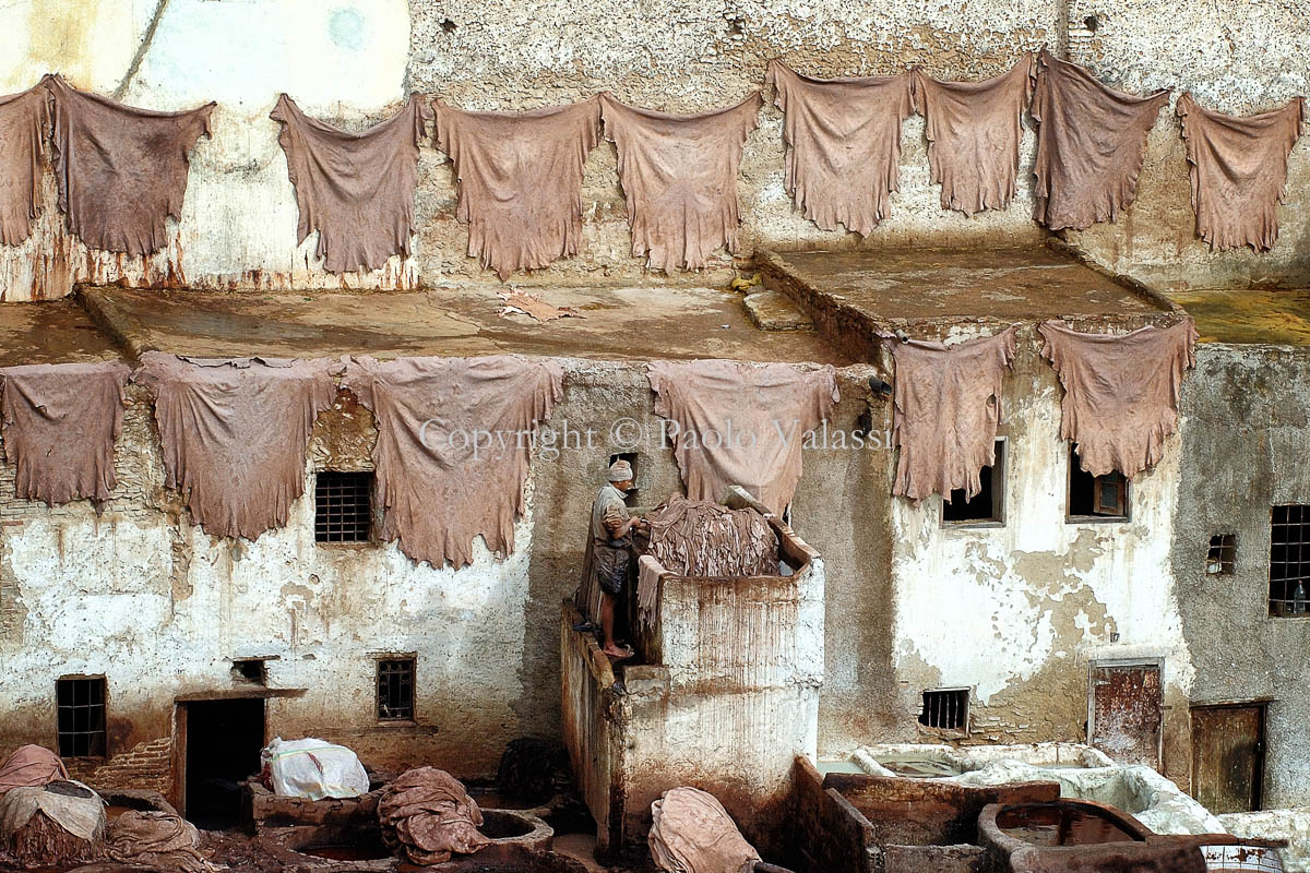 Morocco - Fes - Chouara Tannery