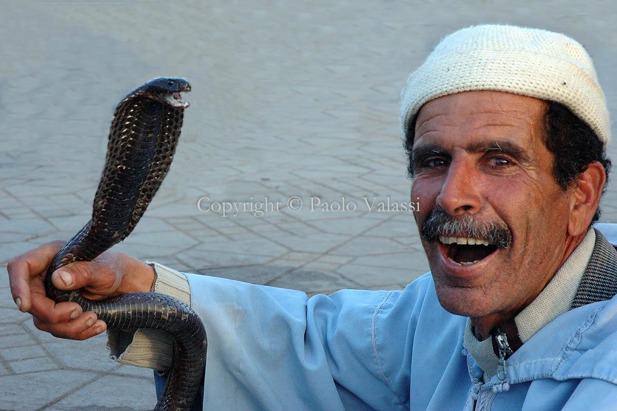 Morocco - Marrakech - Jamaa el Fna - Snakes charmer
