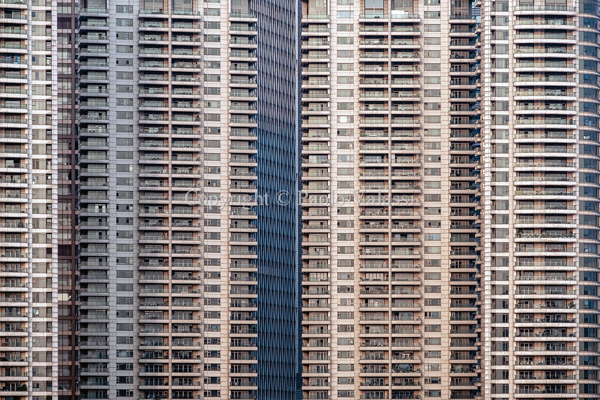 Hives - Shanghai