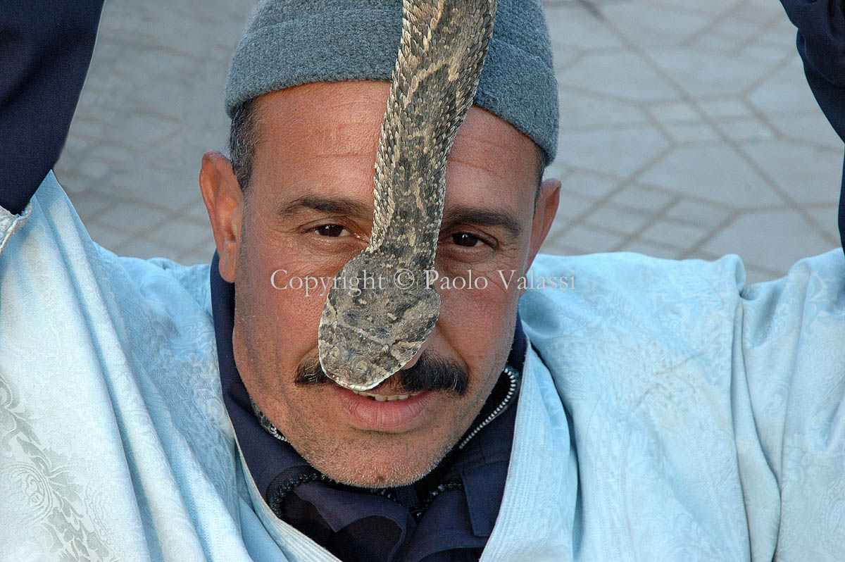 Morocco - Marrakech - Jamaa el Fna - Snakes charmer