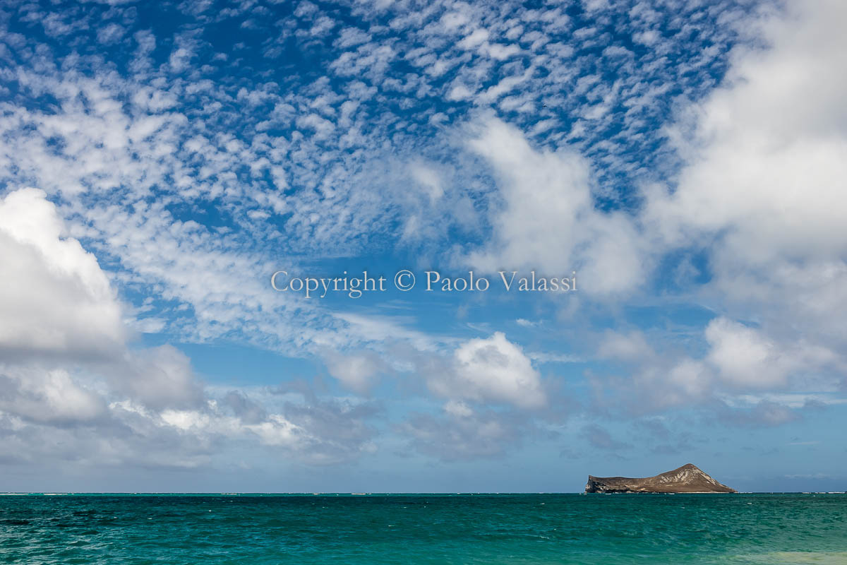 Hawaii - Oahu - Rabbit Island