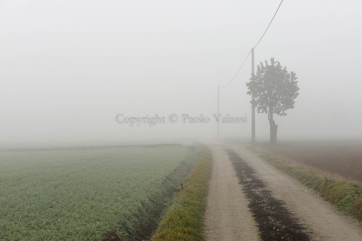 Fog in the Po Valley - Italy