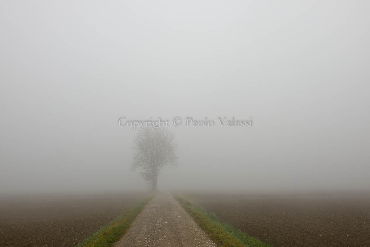 Fog in the Po Valley - Italy