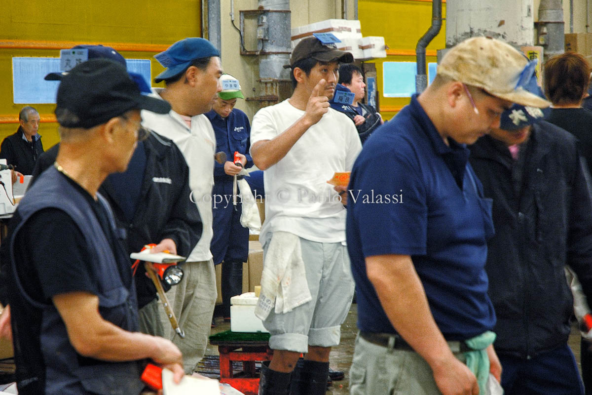 Tsukiji - Tokyo fish market - Tuna auction