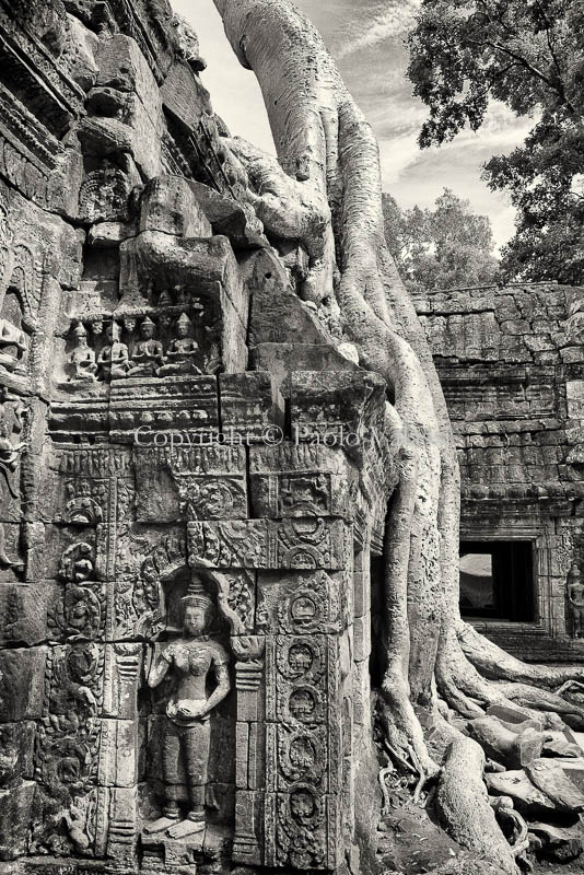 Angkor Wat - Cambodia