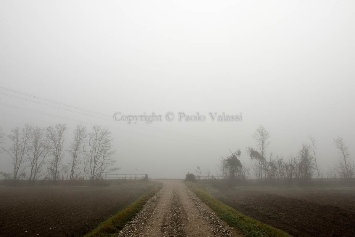 Fog in the Po Valley - Italy