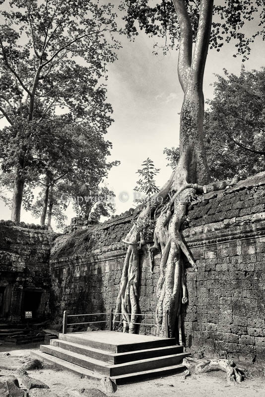 Angkor Wat - Cambodia