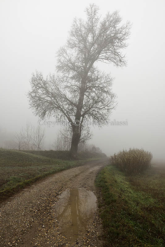 Fog in the Po Valley - Italy