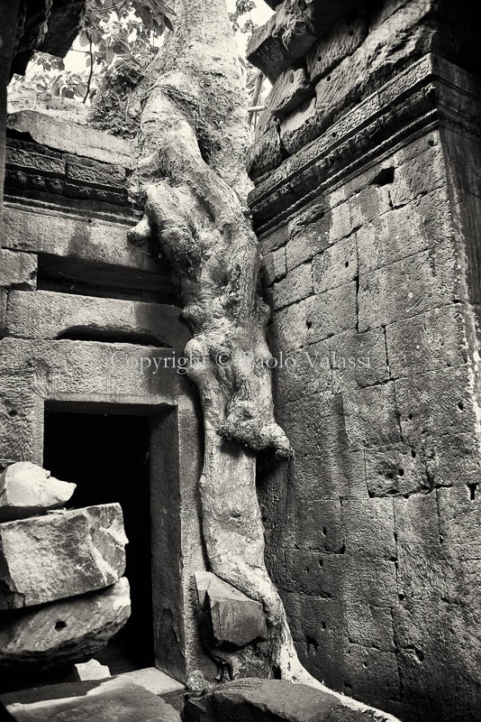 Angkor Wat - Cambodia