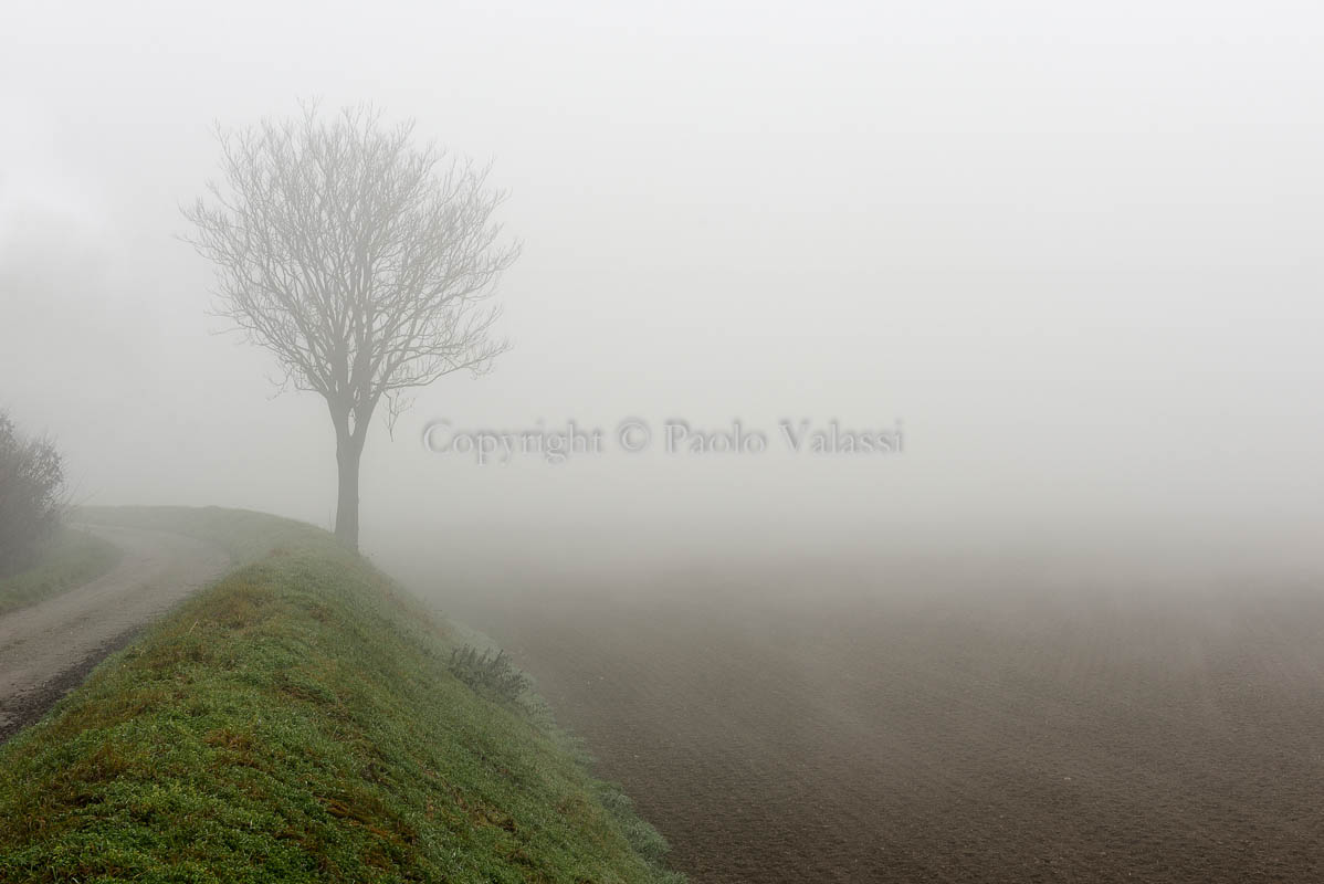 Fog in the Po Valley - Italy