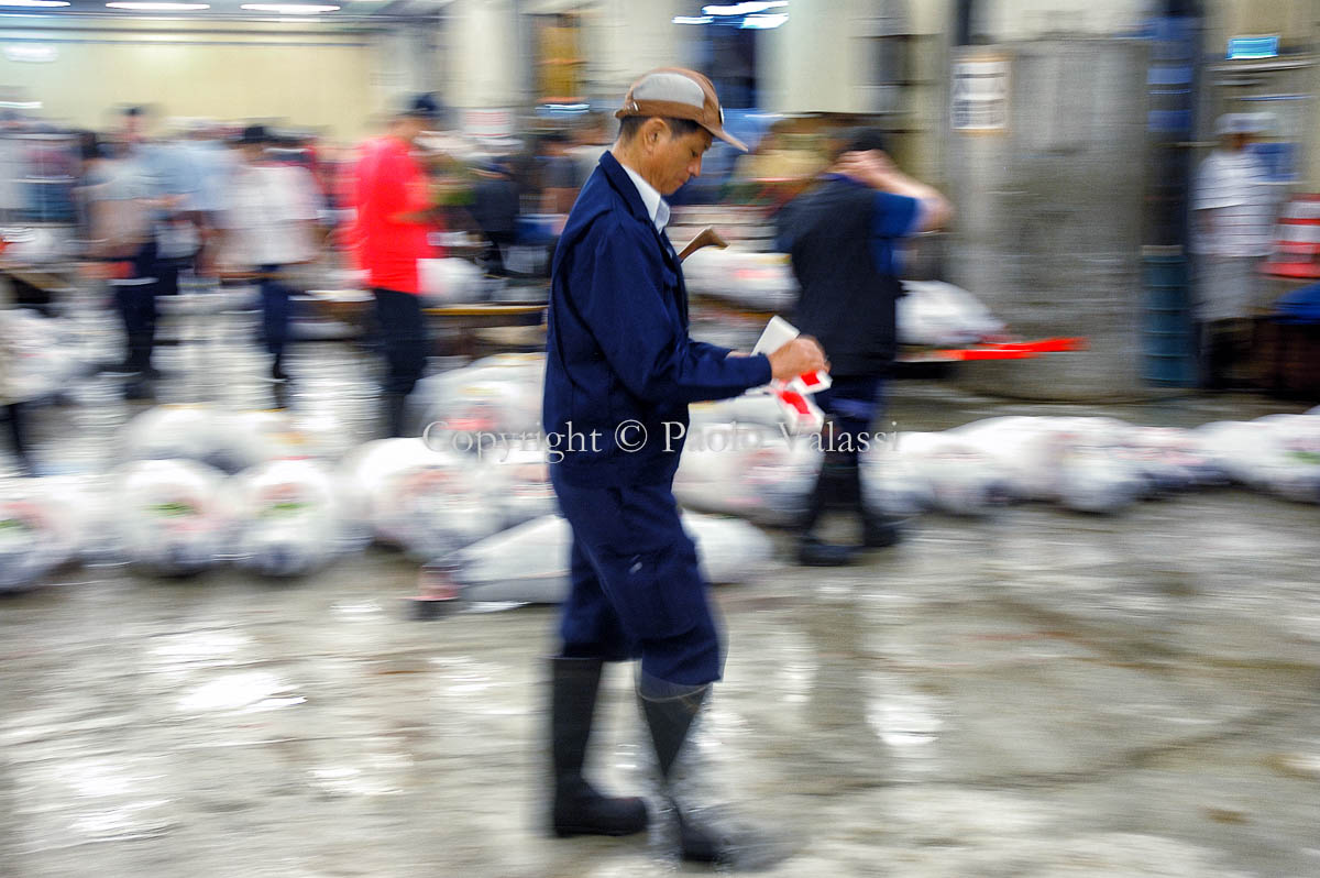 Tsukiji - Tokyo fish market - Tuna auction