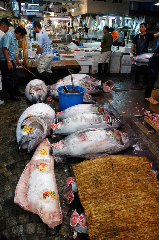 Tsukiji - Tokyo fish market - Tuna auction