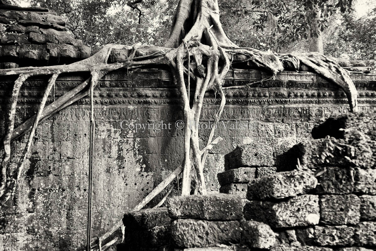 Angkor Wat - Cambodia