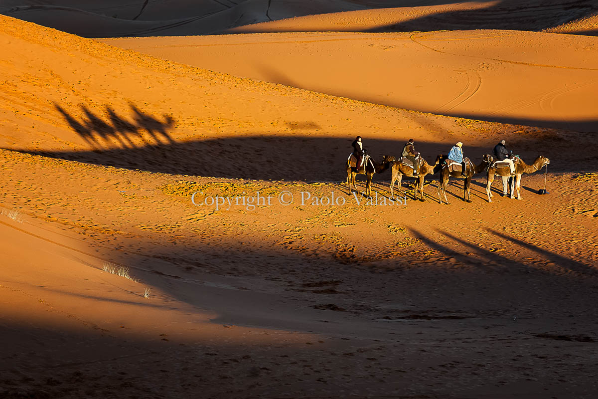 Morocco - Sahara desert - Sunrise at Merzouga dunes