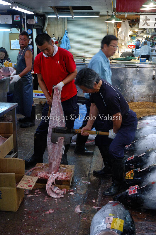 Tsukiji - Tokyo fish market - Tuna auction