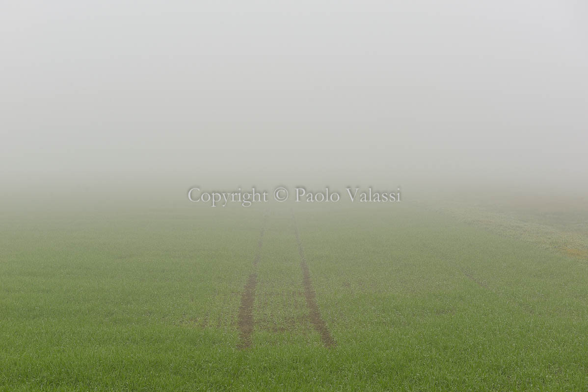 Fog in the Po Valley - Italy