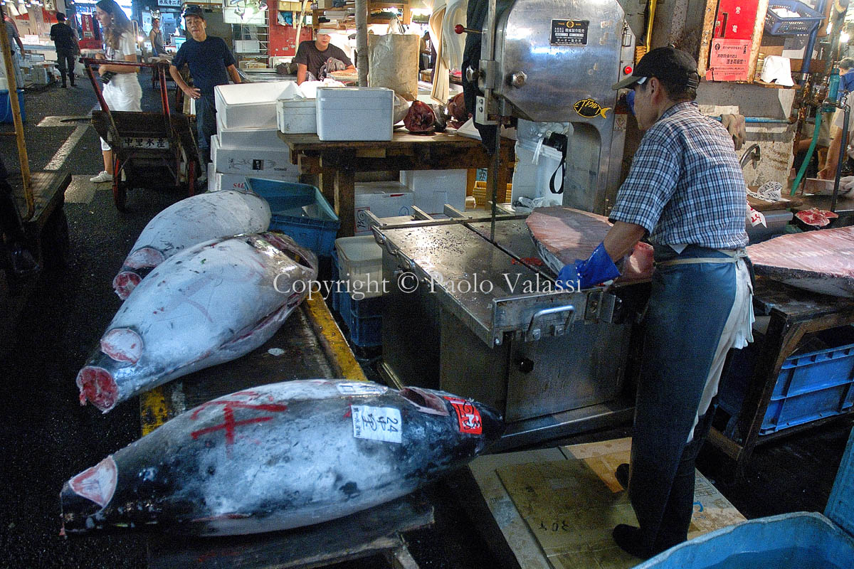 Tsukiji - Tokyo fish market - Tuna auction