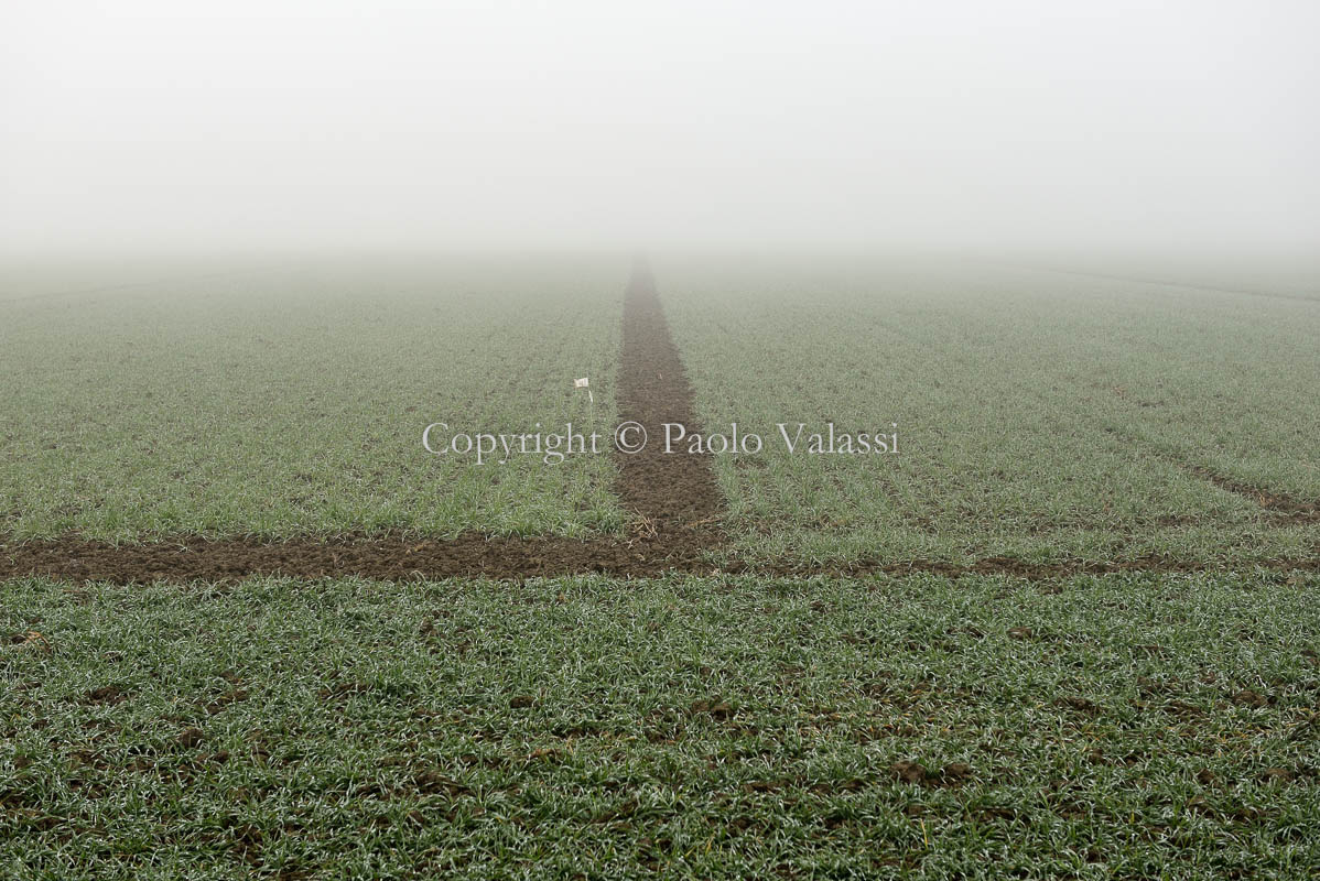 Fog in the Po Valley - Italy