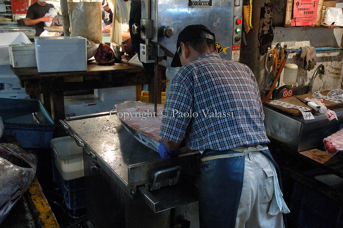 Tsukiji - Tokyo fish market - Tuna auction