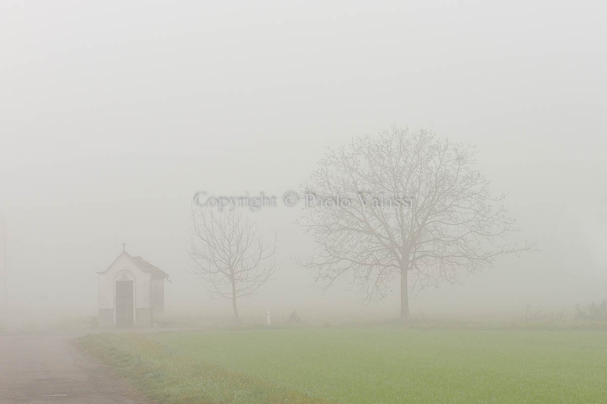 Fog in the Po Valley - Italy