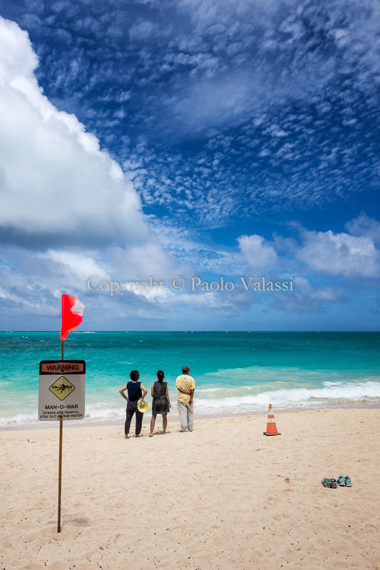 Hawaii - Oahu - Waimanalo Beach, looking at the ocean