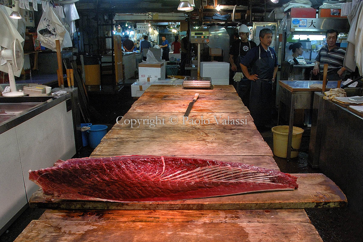 Tsukiji - Tokyo fish market - Tuna auction