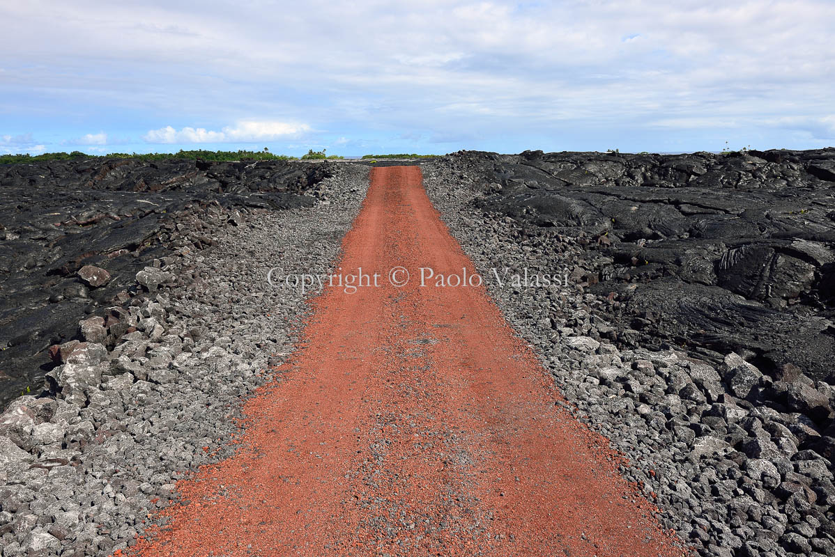 Hawaii - Big Island - Road and lava strada