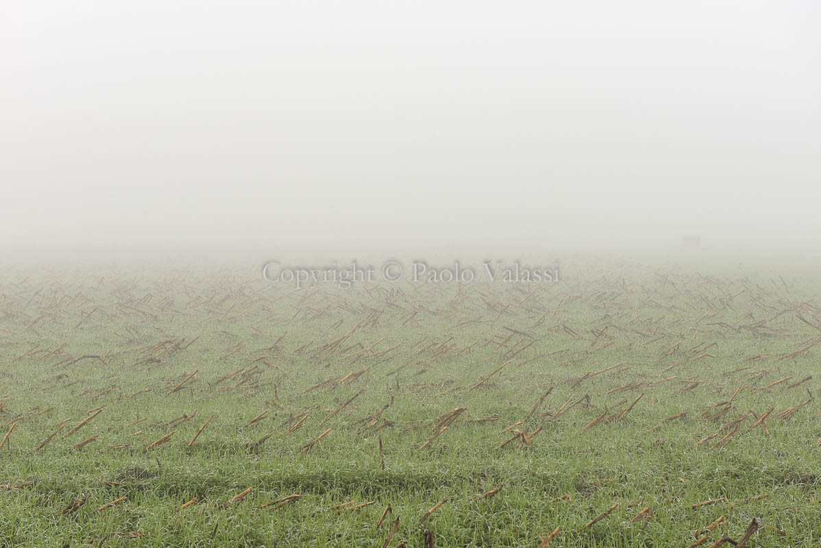 Fog in the Po Valley - Italy