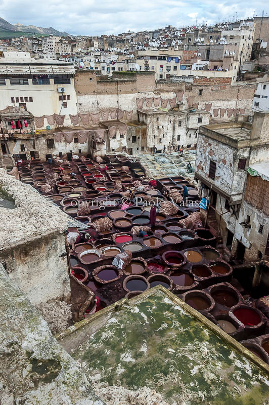 Morocco - Fes - Chouara Tannery