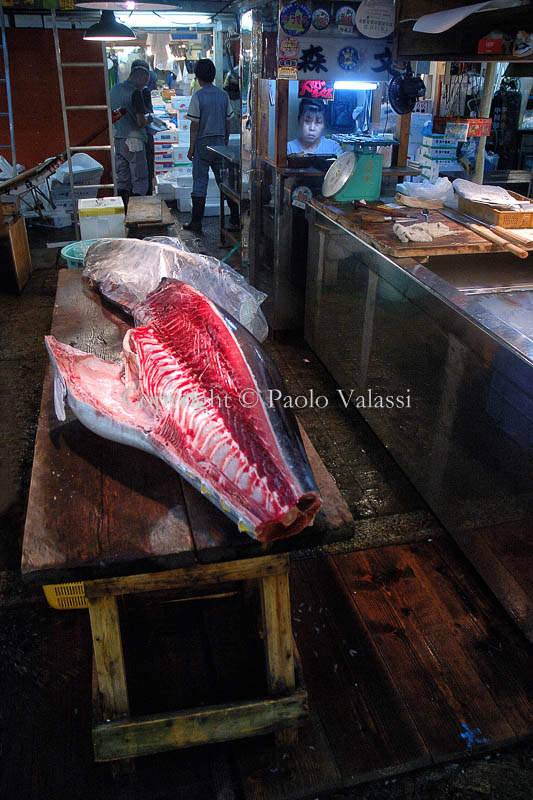 Tsukiji - Tokyo fish market - Tuna auction