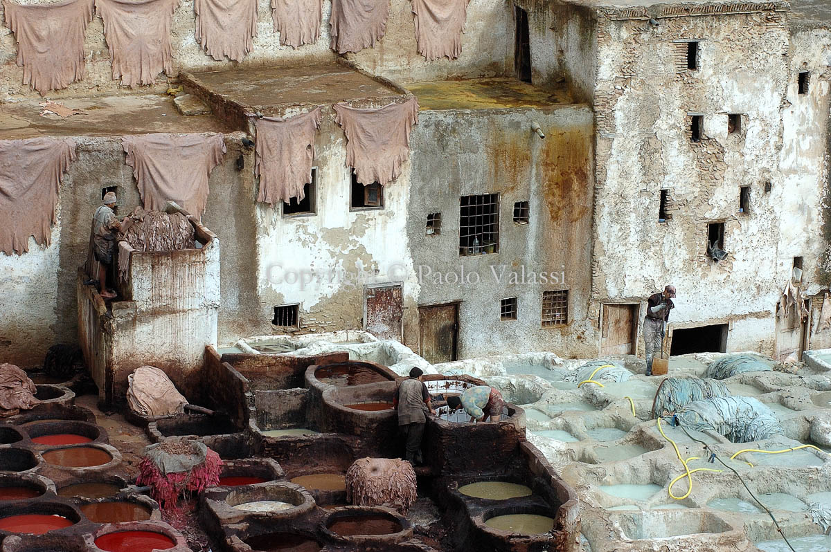 Morocco - Fes - Chouara Tannery