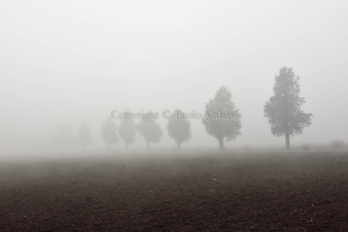 Fog in the Po Valley - Italy