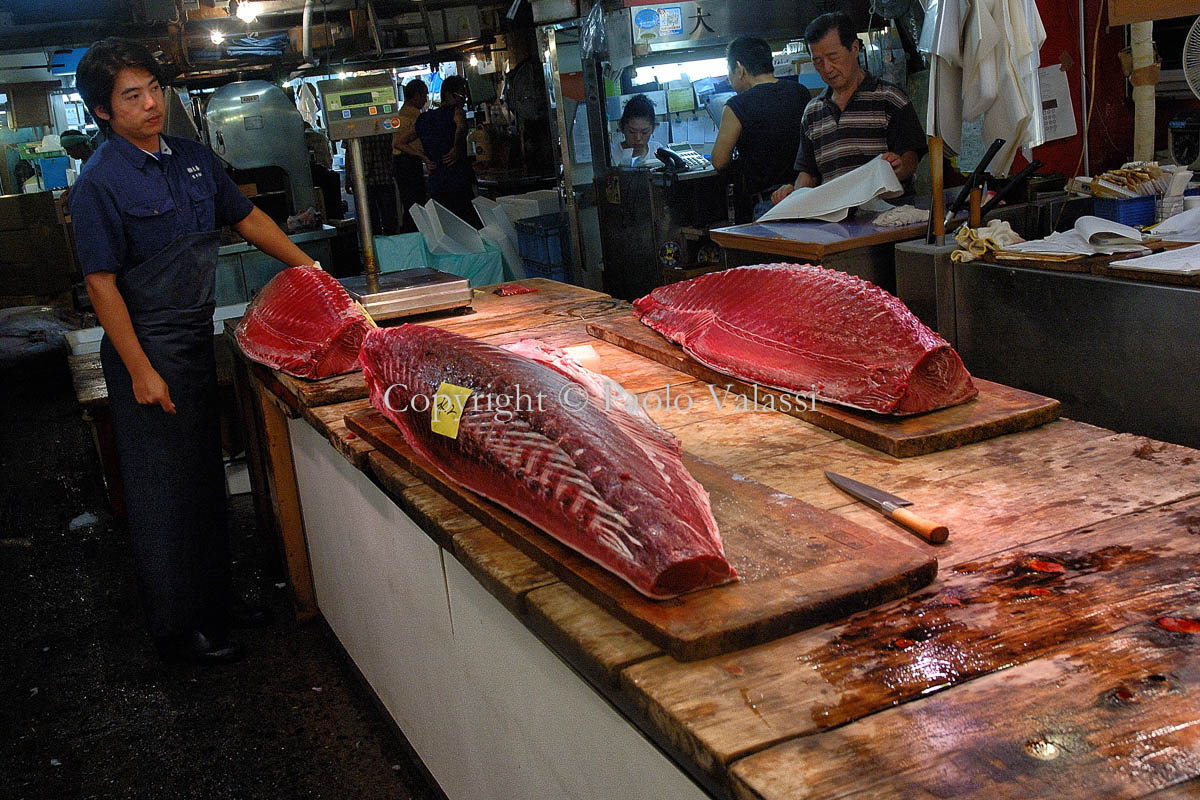 Tsukiji - Tokyo fish market - Tuna auction