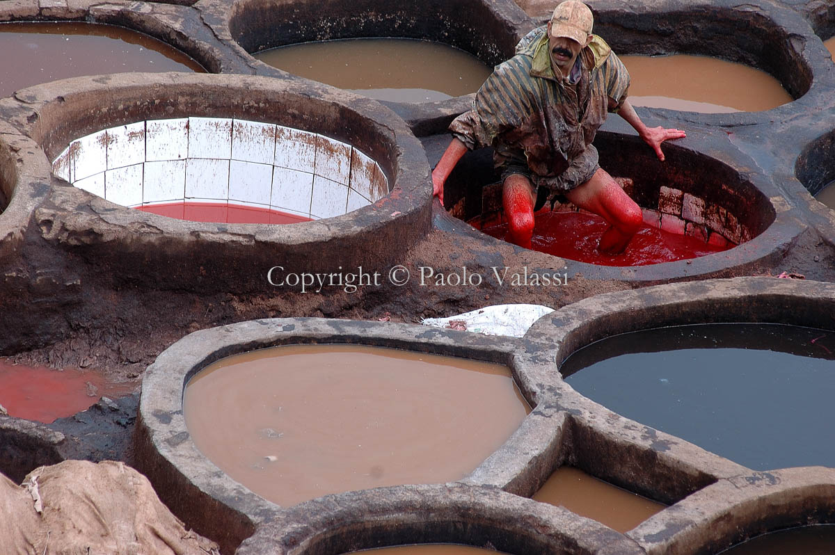 Morocco - Fes - Chouara Tannery