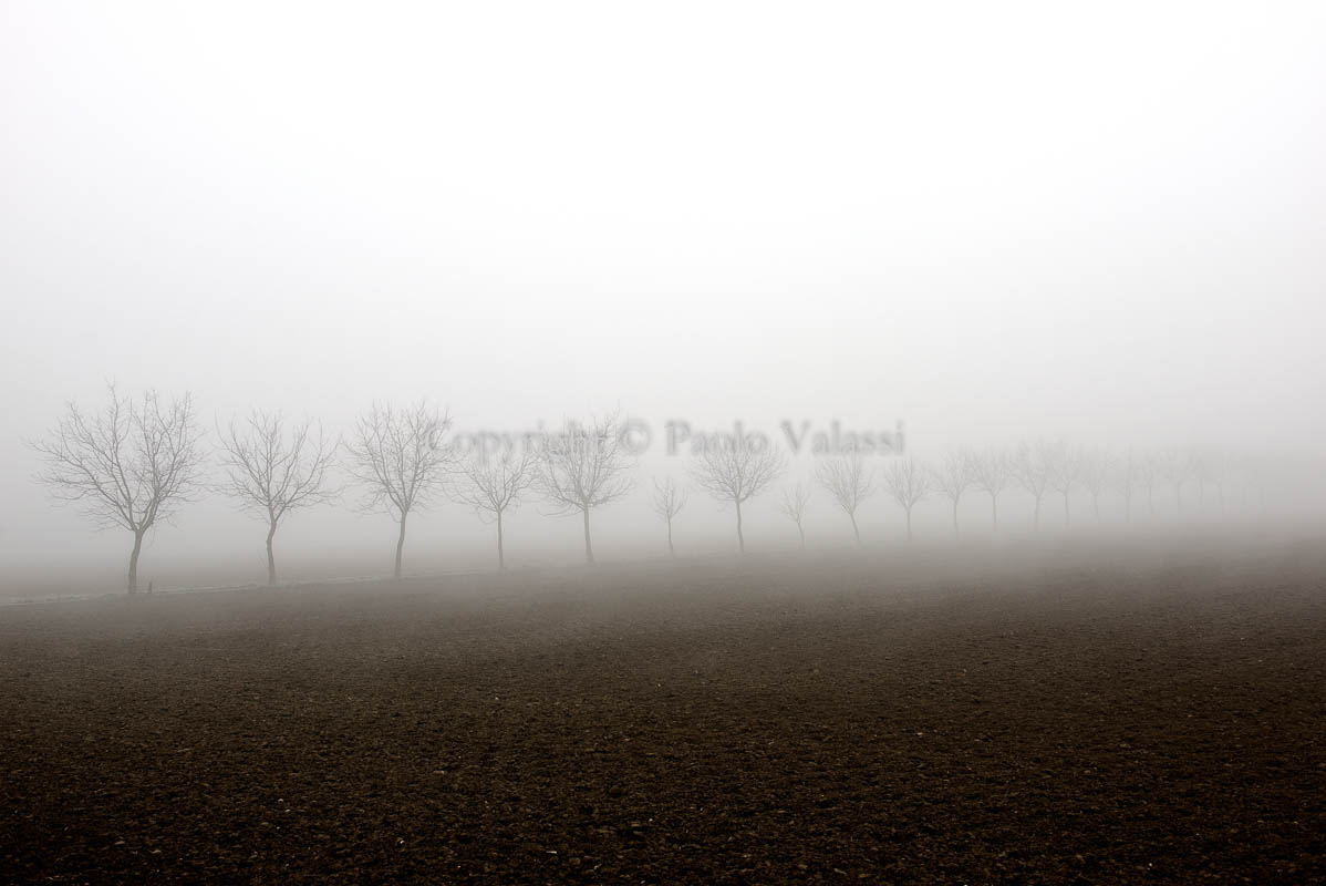 Fog in the Po Valley - Italy