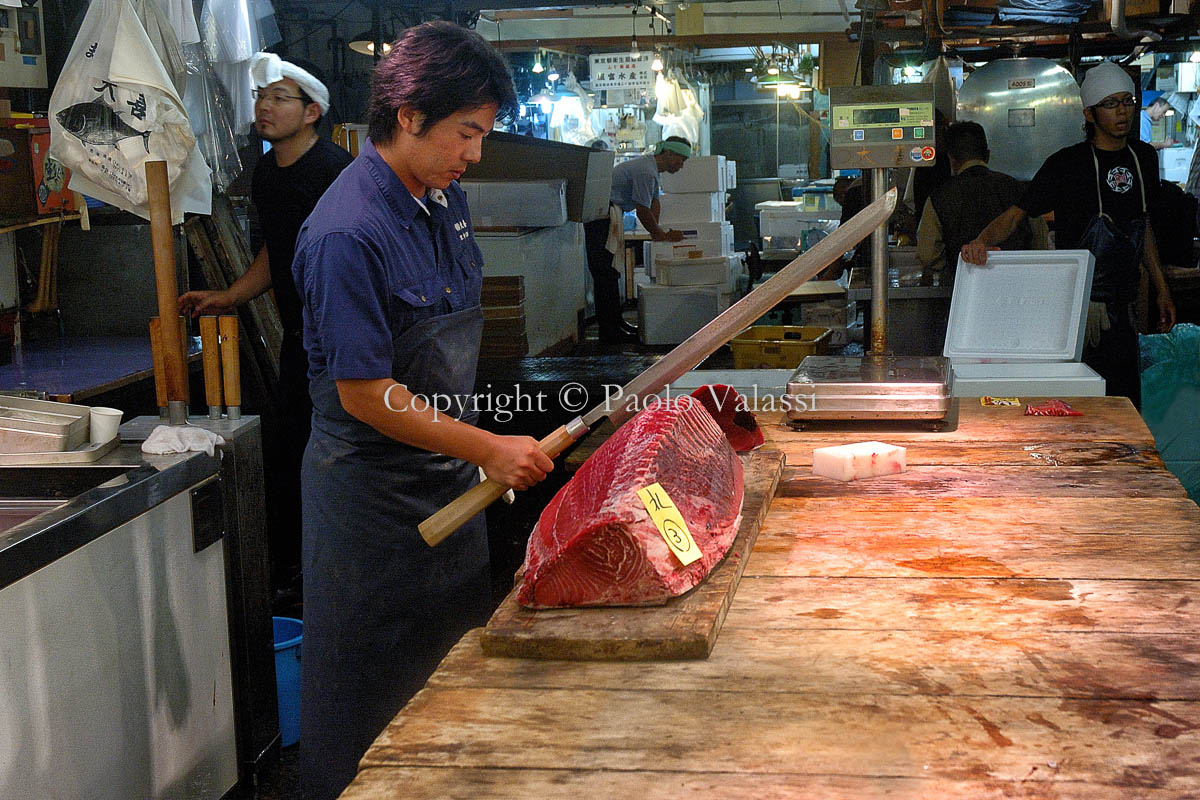 Tsukiji - Tokyo fish market - Tuna auction