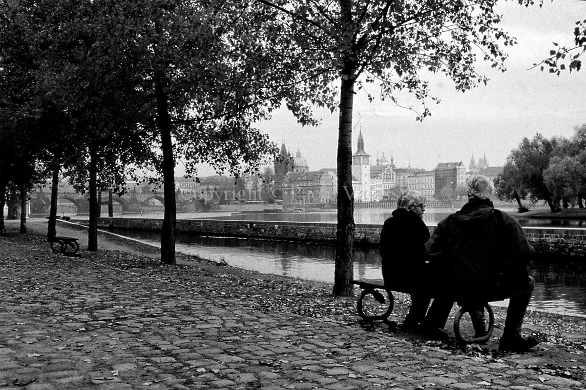 Prague -  Kampa - Bench