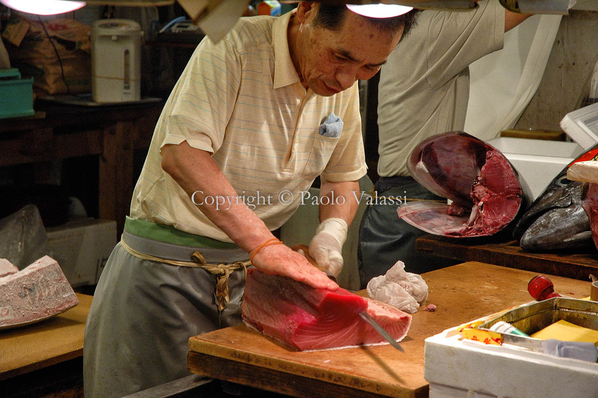 Tsukiji - Tokyo fish market - Tuna auction