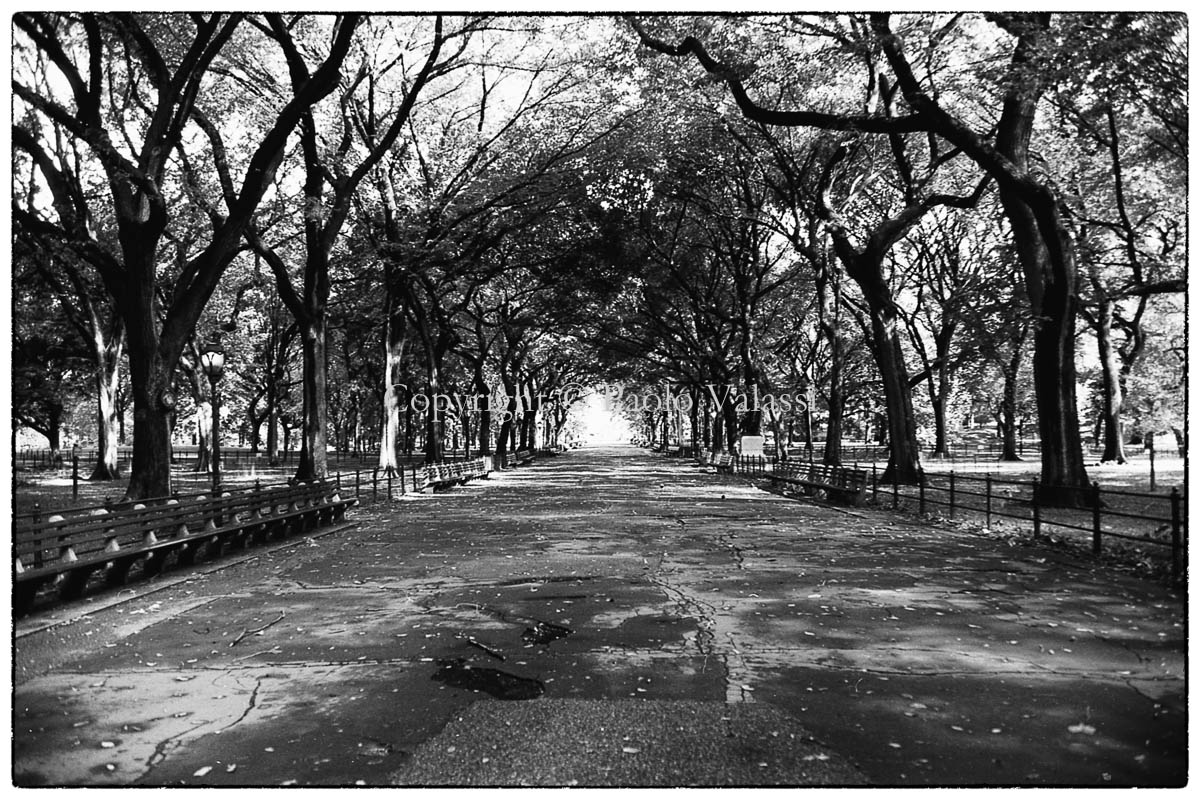 New York - Central Park - The Mall