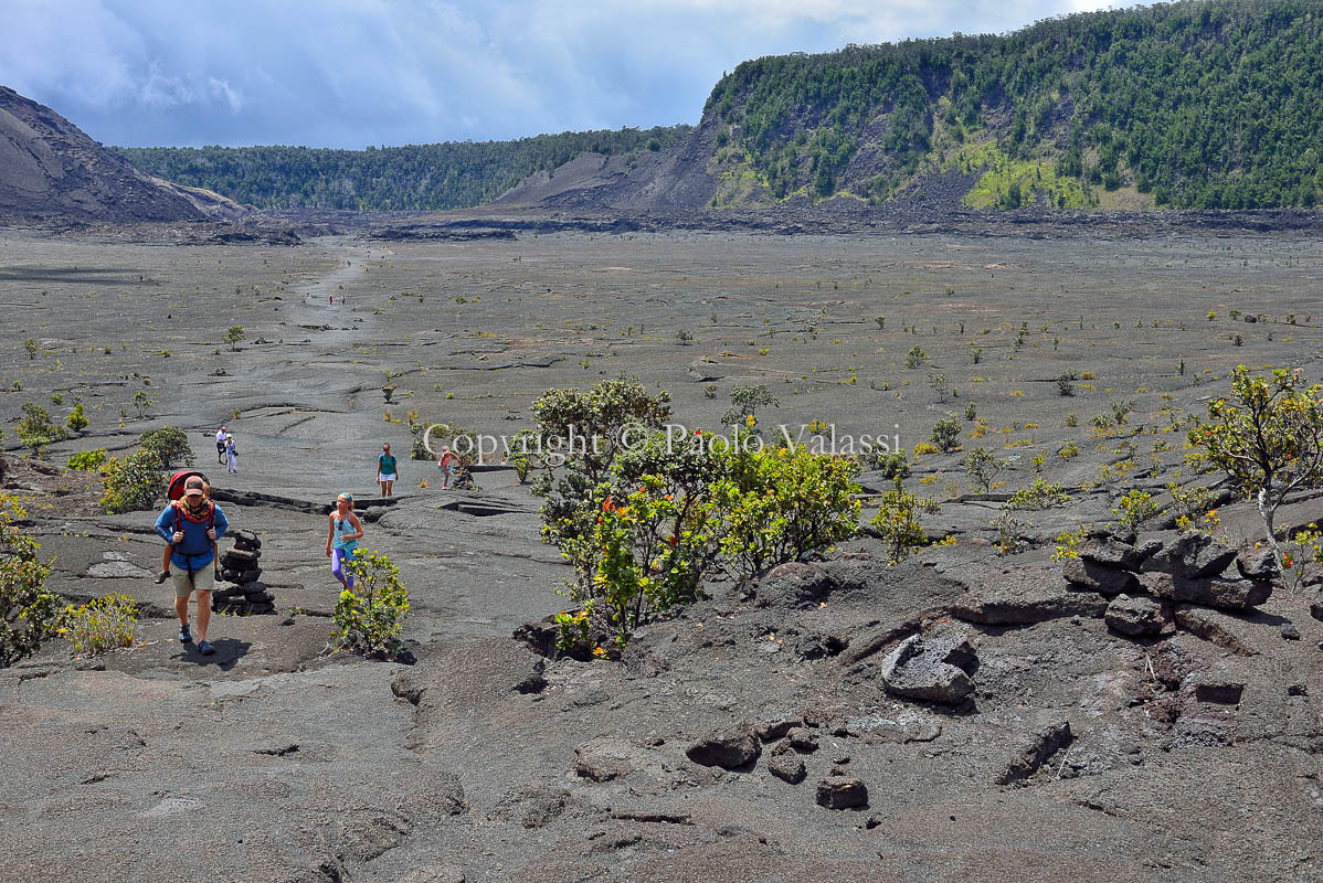Hawaii - Big Island - Kilauea Iki crater