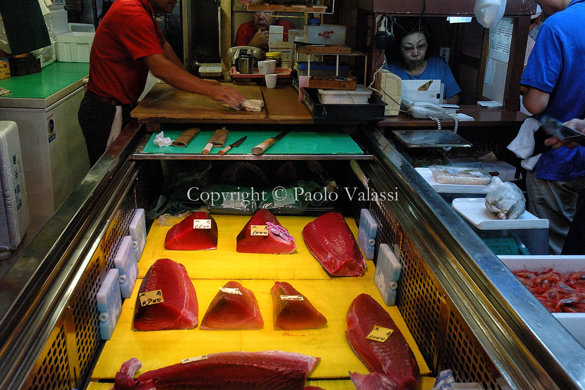 Tsukiji - Tokyo fish market - Tuna auction