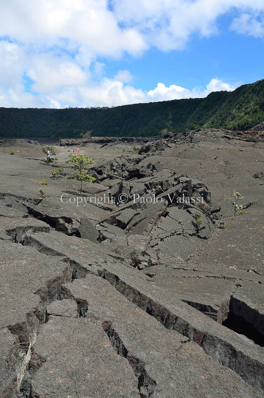 Hawaii - Big Island - Kilauea Iki crater