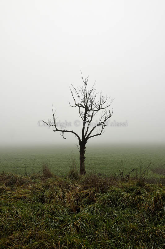 Fog in the Po Valley - Italy