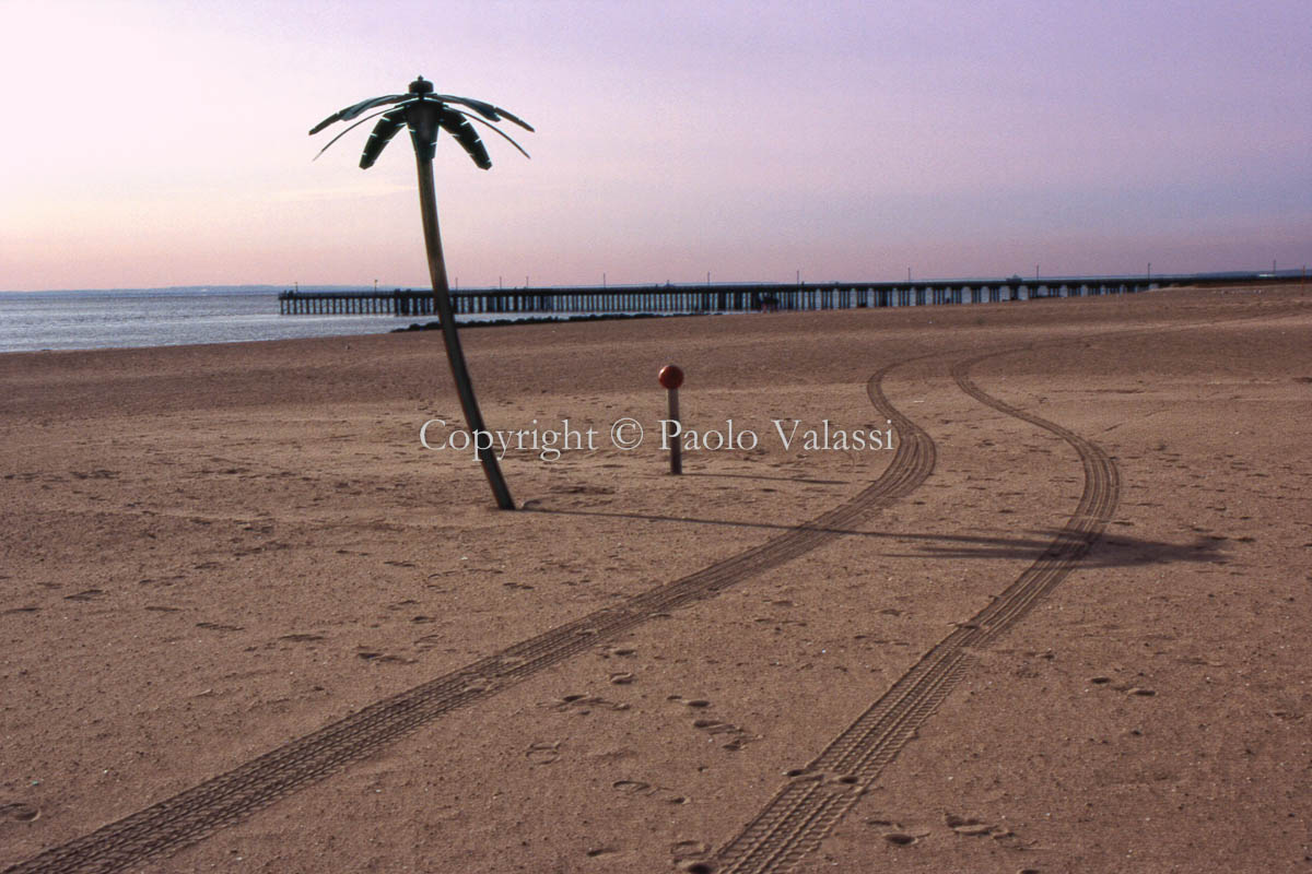 Absence - New York - Coney Island