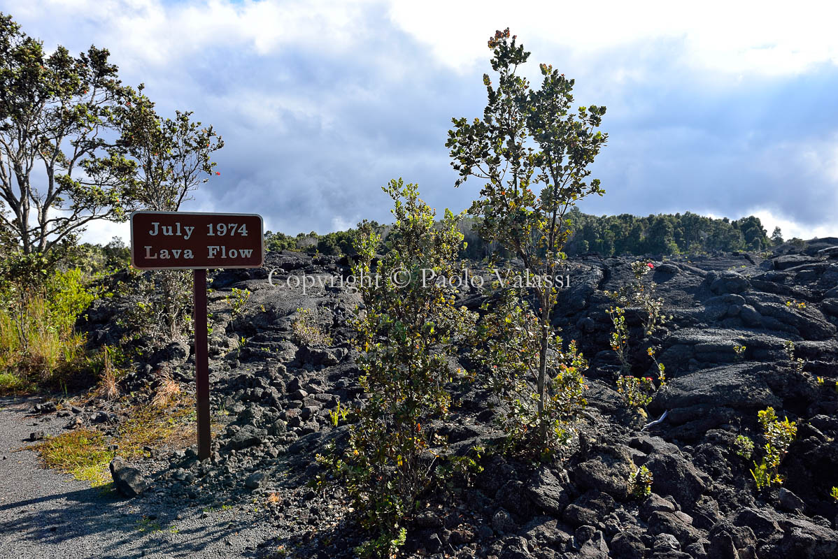 Hawaii - Big Island - Kilauea 1974 lava flow