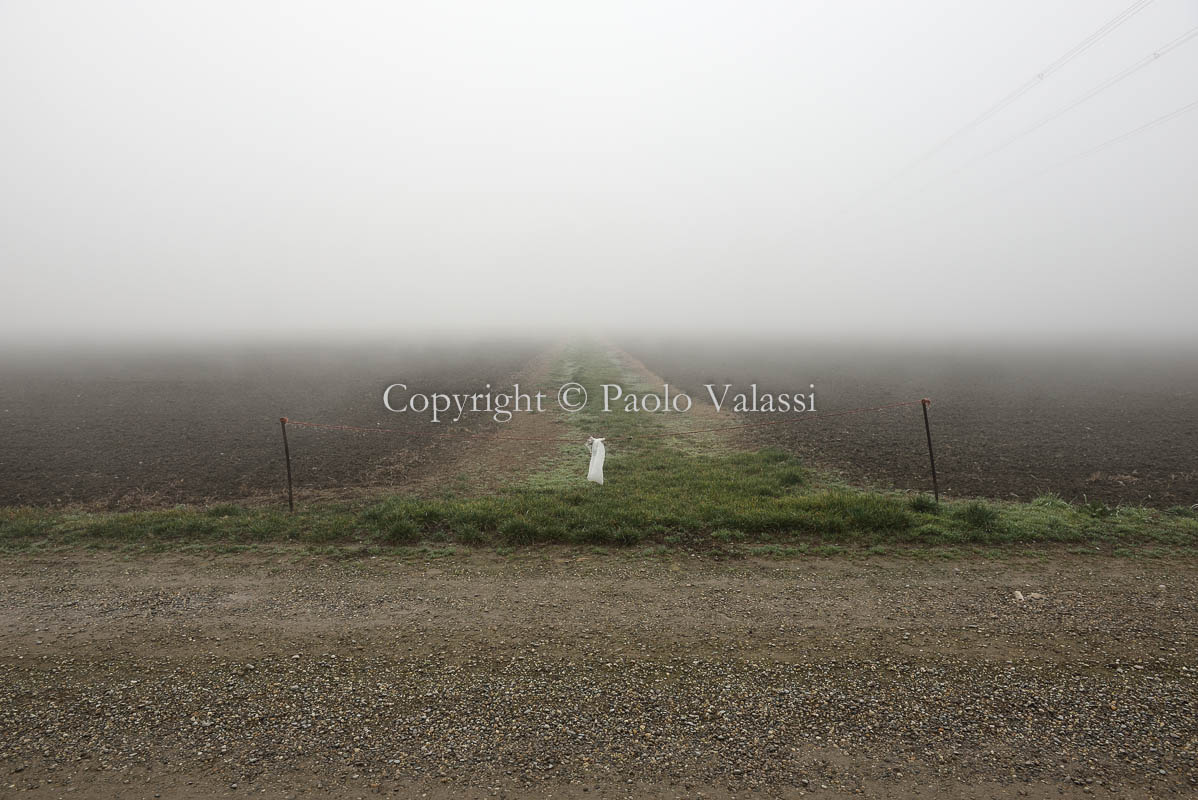 Fog in the Po Valley - Italy