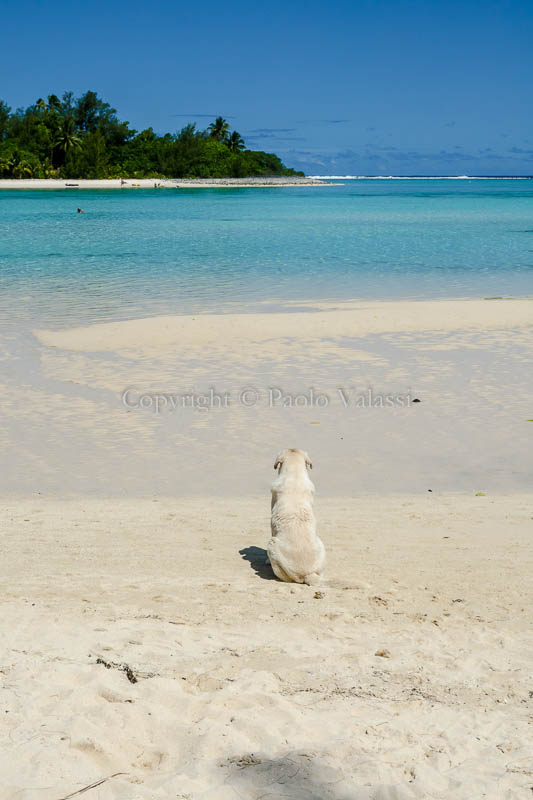 Cook Islands - Rarotonga