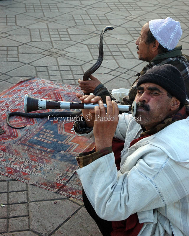 Morocco - Marrakech - Jamaa el Fna - Snakes charmer
